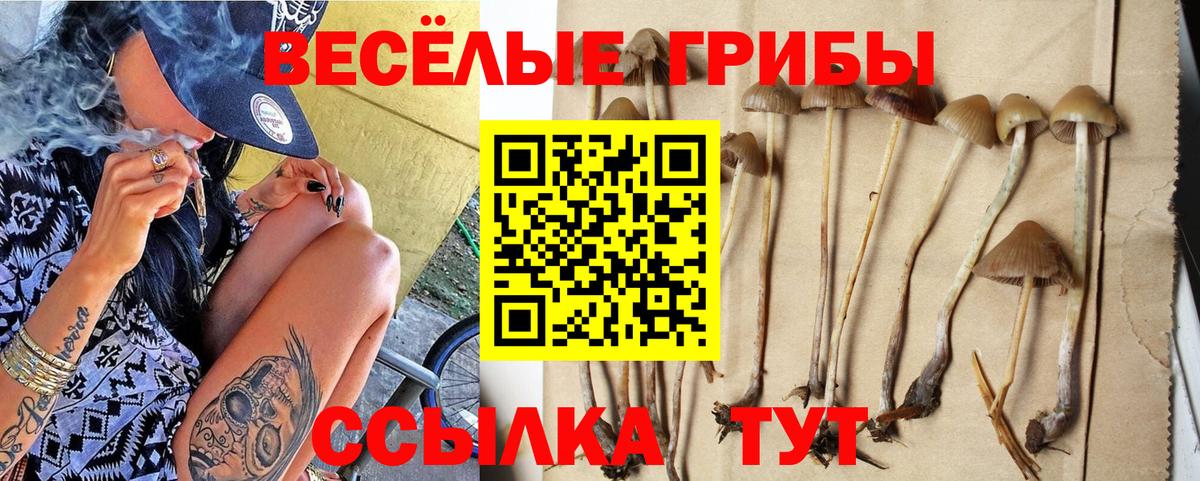 Псилоцибиновые грибы MAGIC MUSHROOMS Мурино