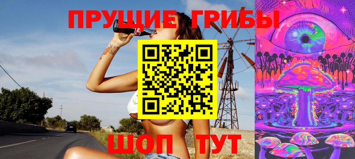 Мурино  Псилоцибиновые грибы Psilocybe  Вход с VPN 